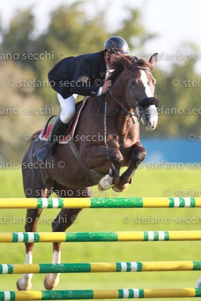 FALZINI_IDEA_GIO CAV 2011_SS3_7912.jpg